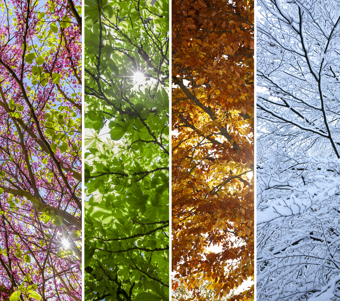 Seasonal changes