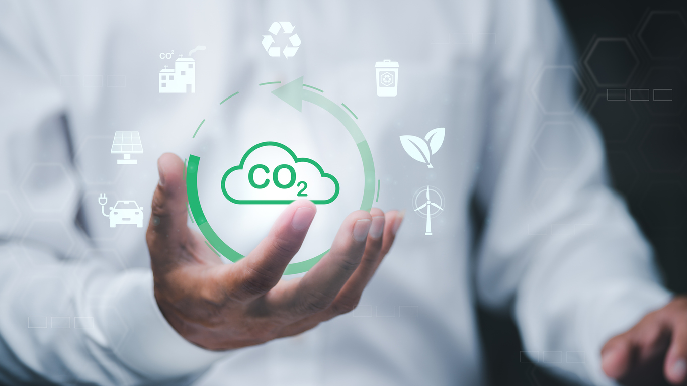 Carbon removals economy - carbon capture