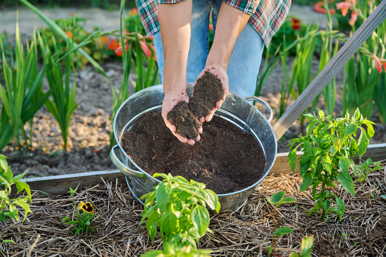sustainable farming - human waste compost as fertilizer