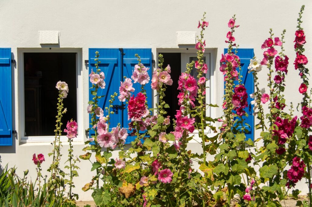 Plant a pollinator garden in the yard