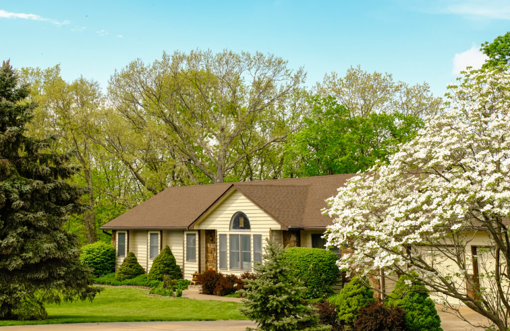 home energy savings by planting deciduous and coniferous trees