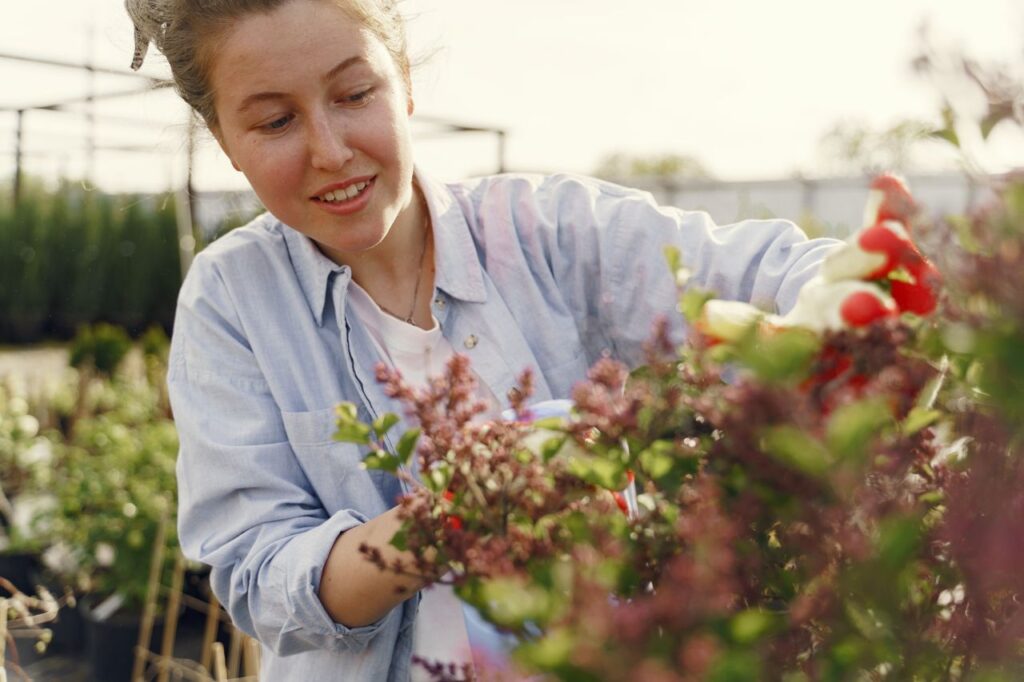 Photo by Gustavo Fring via Pexels eco-friendly pest control prevention maintenance